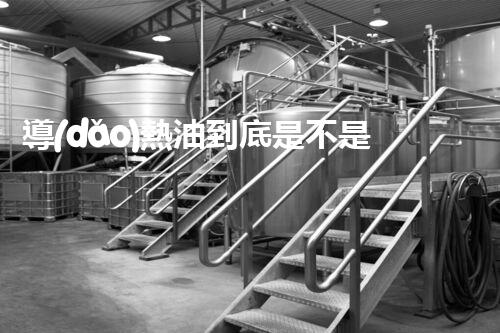 導(dǎo)熱油到底是不是?；费剑靠靵?lái)看看！